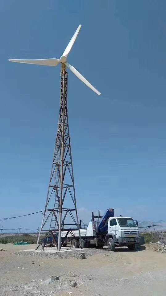 CE Poland Germany Ukraine Hot  - огляд і ціна Wind Turbine Generator