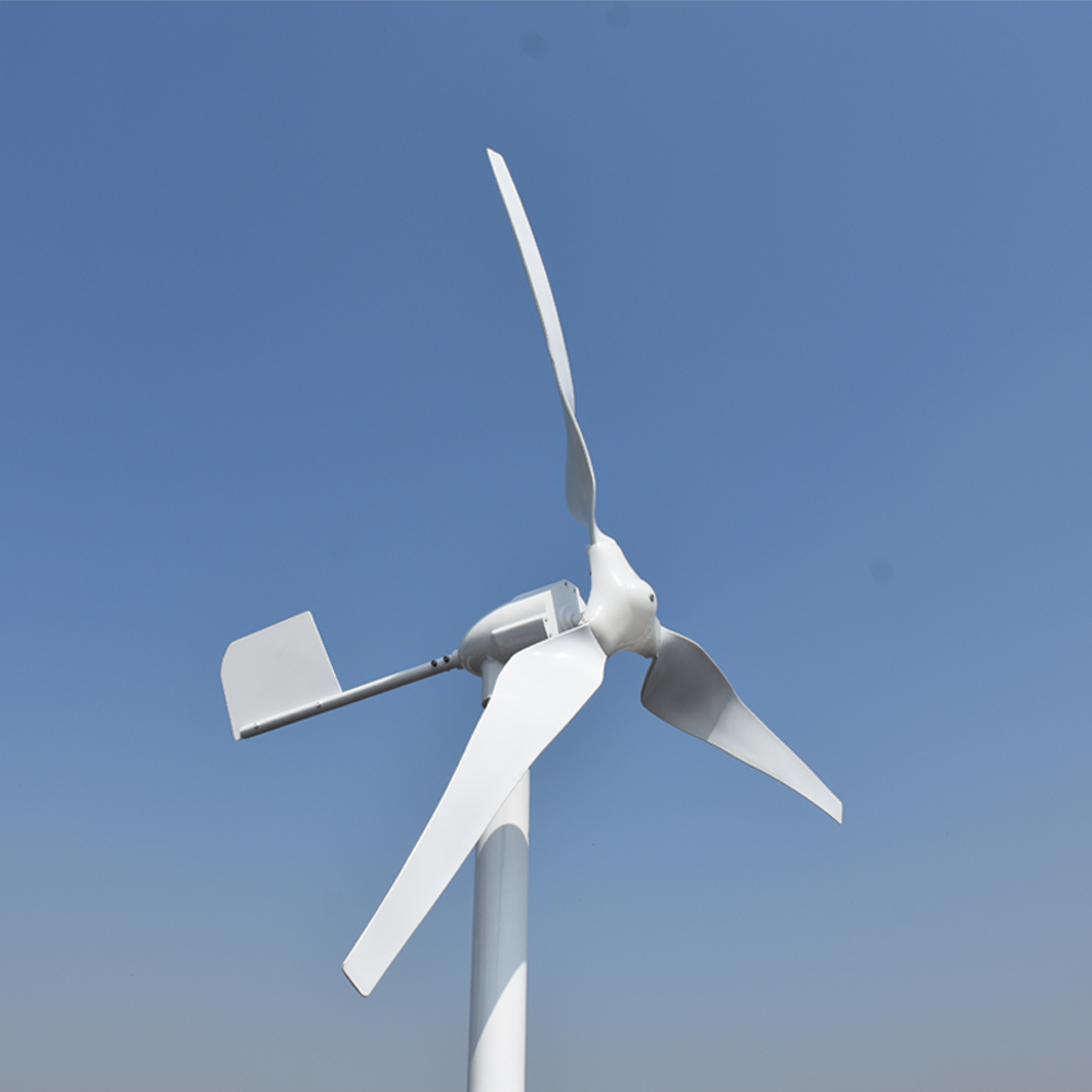 Free Energy Professional Custo - огляд і ціна Wind Turbine Generator